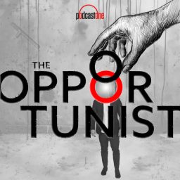 Artwork for The Opportunist
