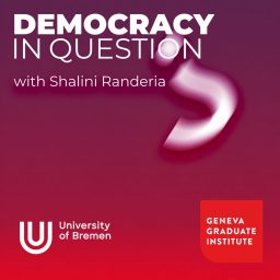 Artwork for Democracy in Question?