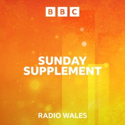 Artwork for Sunday Supplement