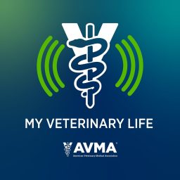 Artwork for My Veterinary Life