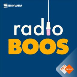 Artwork for RADIO BOOS