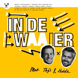 Artwork for In De Waaier