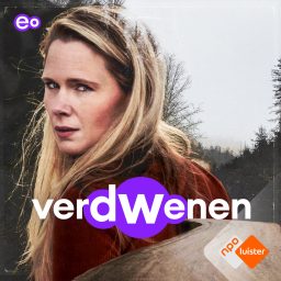 Artwork for Verdwenen