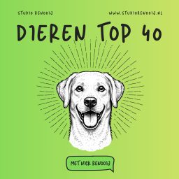Artwork for Dieren Top 40