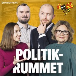 Artwork for Politikrummet