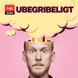 Artwork for Ubegribeligt