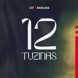 Artwork for Tuzinas