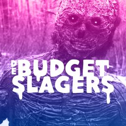 Artwork for De Budget Slagers