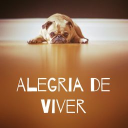 Artwork for Alegria de Viver