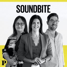 Artwork for Soundbite