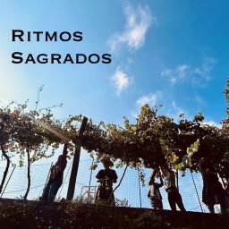 Artwork for Ritmos Sagrados