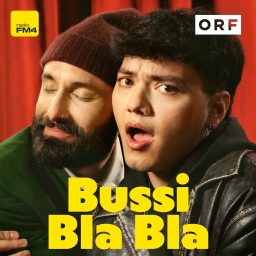 Artwork for Bussi Bla Bla