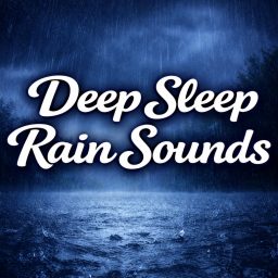 Artwork for Deep Sleep Rain Sounds