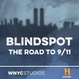 Artwork for Blindspot