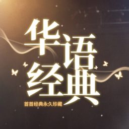 Artwork for 708090经典老歌|华语百位歌流行金曲大全