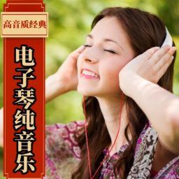 Artwork for 电子琴纯音乐