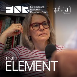 Artwork for Mäin Element