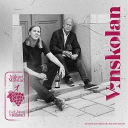 Artwork for Vinskolan