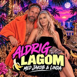 Artwork for Aldrig Lagom