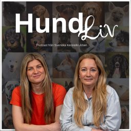 Artwork for Hundliv