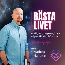 Artwork for Bästa livet