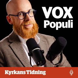 Artwork for Vox populi