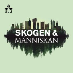 Artwork for Skogen & Människan
