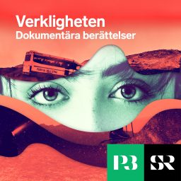 Artwork for Verkligheten
