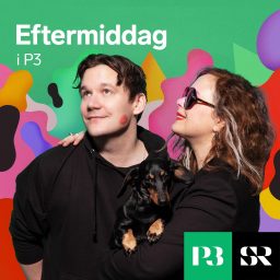 Artwork for Eftermiddag i P3