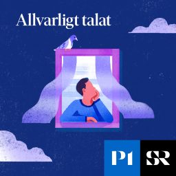 Artwork for Allvarligt talat