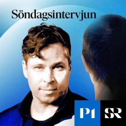 Artwork for Söndagsintervjun