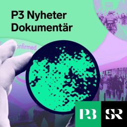 Artwork for P3 Nyheter Dokumentär