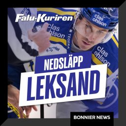 Artwork for Nedsläpp Leksand