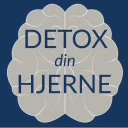 Artwork for Detox Din Hjerne