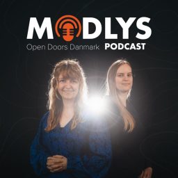 Artwork for Modlys