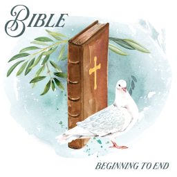 Artwork for Bible: Beginning to End
