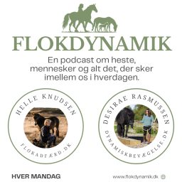 Artwork for Flokdynamik