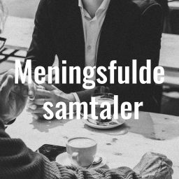 Artwork for Meningsfulde Samtaler