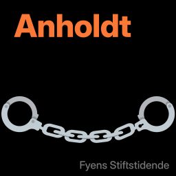 Artwork for Anholdt