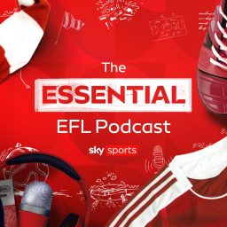 Artwork for Essential EFL