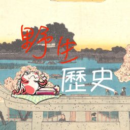 Artwork for 野生歷史