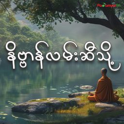 Artwork for နိဗ္ဗာန်လမ်းဆီသို့