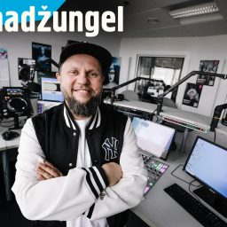Artwork for Linnadžungel