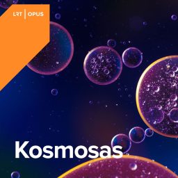 Artwork for Kosmosas
