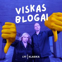 Artwork for Viskas blogai