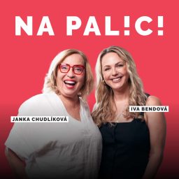 Artwork for NA PALICI