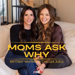 Artwork for Moms Ask Why