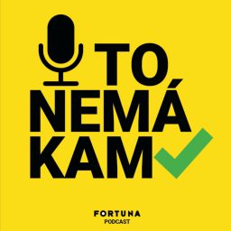 Artwork for To nemá kam