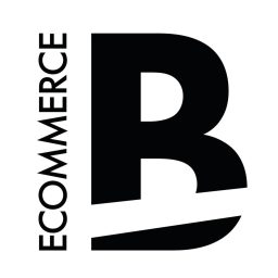 Artwork for Ecommerce Bridge