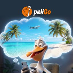 Artwork for peliGo
